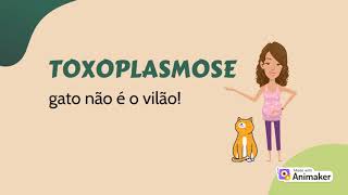 Toxoplasmose o gato não é o vilão [upl. by Rellim]