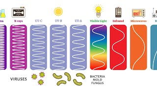 Ultraviolet UV Can Kill Bacteria amp Viruses – Learn The Basics [upl. by Eannyl]