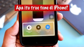 Apa itu true tone di iPhone dan bagaimana cara mengaktifkannya [upl. by Aicelet]