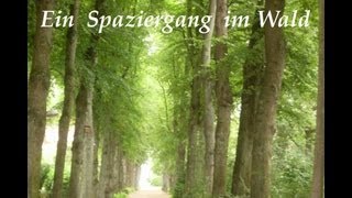 Ein Spaziergang im Wald Version 1 PhantasiereiseFantasiereise [upl. by Lerret480]