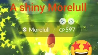 I catched a shiny Morelull 😃🤩  morelull pokemon nintendo pokemontcg [upl. by Haeel676]