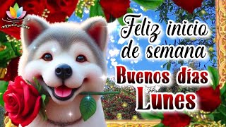 Feliz inicio de semana Buenos días lunes FELIZ LUNES Mira este bello video motivarte11 [upl. by Dalohcin76]