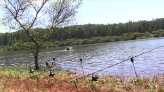 Carp fishing Africa [upl. by Sibby]