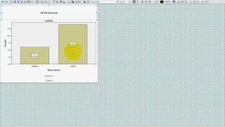 SPSS VideoSeminar  Teil 8 Datenexploration  Balkendiagramm Histogramm [upl. by Ansilma]