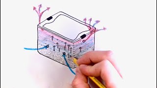 Basics of How a MonoTub Works  Understand Fruiting Conditions Gas Exchange for Growing Mushrooms [upl. by Imarej156]