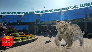 Новосибирский зоопарк имени РА Шило  Расслабляющая прогулка краткий обзор [upl. by Wilmar501]