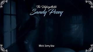 Sandy Posey  Whos Sorry Now HQ [upl. by Eveline]