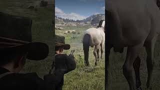 Interesting Facts Of Red Dead Redemption 2  rdr2 gaming shorts [upl. by Okihsoy]