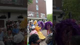 Zomercarnaval 2024 netherlands [upl. by Macfarlane]