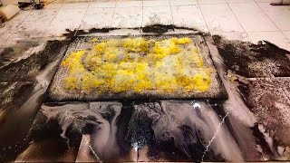 Deepest cleaning with New Method lll satisfying carpet cleaning ASMR [upl. by Dust404]