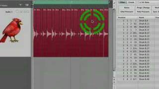 Logic 8 Audio Quantize  Adjust Tempo Using Region Length and Locators [upl. by Zaller263]