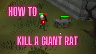 OSRS How to kill a Giant Rat [upl. by Doloritas]