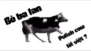 Bò Ba Lan  Polish Cow Vietsub [upl. by Dewhurst226]