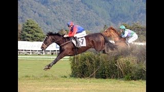 2017 WRC Trentham NZ Mills Reef Steeplechase [upl. by Hubble880]