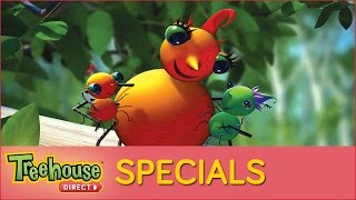 Miss Spiders Sunny Patch Kids  Special [upl. by Kcirdef]