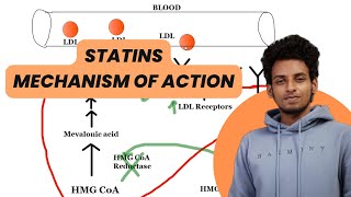 HMGCoA reductase inhibitors also known as statins Mechanism of Action Side effects Uses [upl. by Tadich170]