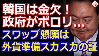 日本に通貨スワップのおかわりをせがんだ韓国、「本当に金欠だ」と明言してしまう [upl. by Aryad37]