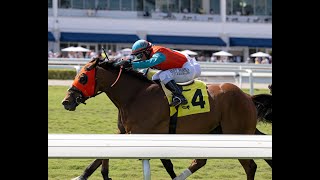 Gulfstream Park Resumen  21 de Marzo 2024 [upl. by Cilka]