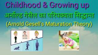 अर्नोल्ड गेसैल का परिपक्वता सिद्धान्त Arnold Gesells Maturation TheoryBEd 1st year [upl. by Murdock]