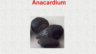 ANACARDIUM  ΑΝΤΙΜΕΤΩΠΙΣΗ ΟΞΕΩΝ ΚΑΤΑΣΤΑΣΕΩΝ ΜΕ ΟΜΟΙΟΠΑΘΗΤΙΚΗ [upl. by Lluj]