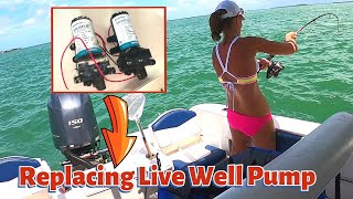 Replacing Live Well  Wash Down Pump on a ROBALO [upl. by Jonina972]