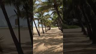 Negombo Brown Beach travel [upl. by Welford]