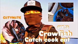 Crawfish 🦞 PT5 catch cook eat adventure [upl. by Tavy]