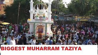 Very Popular Juloos and Taziya Of Muharram PART1 [upl. by Knight892]