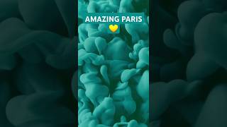 AMAZING PARIS travel travel vlog  trip out songstravellers resttraveller shorts youtubeshorts [upl. by Lia49]