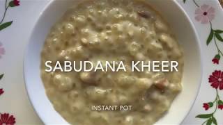 Sabudana kheer in Instant Pot  Sabudana Payasam in Instant Pot  Recipe  36 [upl. by Alvira]