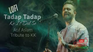 Tadap Tadap Ke Is Dil Se Atif Aslam Cover Slowed amp Reverb [upl. by Okomot402]