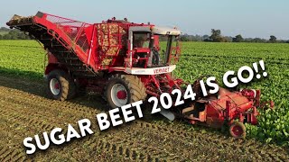 4Kᵁᴴᴰ Sept 2024 Dennington Halls Vervaet 617 six row sugar beet harvester working in Suffolk 💪👍 [upl. by Silvers]