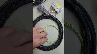 OBD2A and OBD2B J series conversion harnesses overview [upl. by Leahcimnaj653]