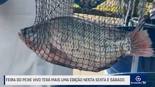 Feira do Peixe Vivo terá mais uma edição nesta sexta e sábado [upl. by Koblas906]