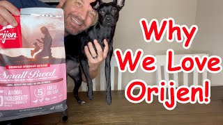 ORIJEN Small Breed Dry Dog Food HD REVIEW [upl. by Izzy]