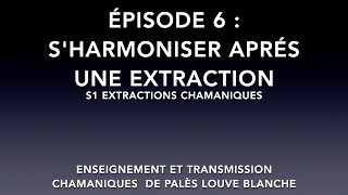 épisode 6 Sharmoniser après une extraction chamanique s1 Palès Louve Blanche artherchamanique [upl. by Ylhsa]