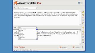 Adept Translator Pro demonstration [upl. by Ariadne]