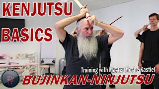 Kenjutsu Basics  Bujinkan Ninjutsu Kenjutsu with Moshe Kastiel [upl. by Merilyn]