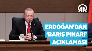 Cumhurbaşkanı Erdoğandan Barış Pınarı Harekatı açıklaması [upl. by Teriann]