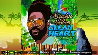 Bamboo Kallum  Clean Heart Lyrics Video Reggae [upl. by Kciredorb]