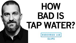 How Bad Is Tap Water for Health  Dr Andrew Huberman [upl. by Leba]