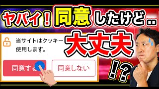 ヤバイ！クッキー（cookie）同意したけど大丈夫か？しないとどうなる？なぜ必要【音速パソコン教室】 [upl. by Ainivad]