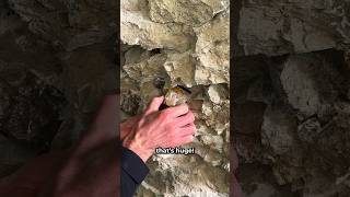 Finding a Large Pyrite Crystal 😲 [upl. by Sillihp]