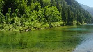 Spaziergang am Förchensee I Chiemgauer Alpen [upl. by Rialcnis]