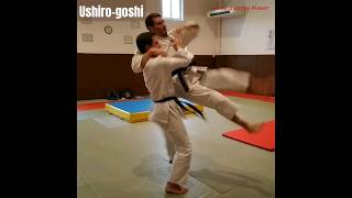 Comment faire Ushirogoshi pour lUV2 technique du 1er DAN Judo Jujitsu judo [upl. by Liew999]