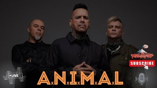 Andrés Giménez de ANIMAL Tres Décadas de Rebeldía y Metal animaloficialYT [upl. by Matti]