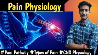 Pain Physiology Types of Pain Pain Pathway CNS Physiology LecturesMBBS hindi Ashish [upl. by Emmet324]