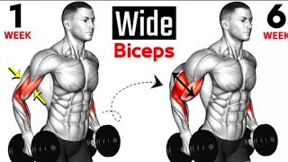 Best Exercises Bicep  Full Bicep Curls  Short Heat  Long Head  Brachialis 🏠At Home🏠 [upl. by Elsi]