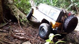 Axial SCX10s Gmade Sawback amp Tamiya CC01 in Pierce Survival Trail [upl. by Severson]