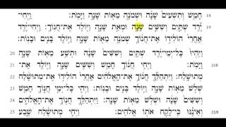 Torah Reading  Genesis Chapter 5 HD [upl. by Ztnarf]